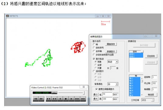 蜜蜂行为捕捉分析系统 DetectBee