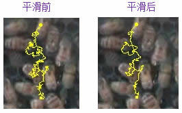 1480320248944547.jpg