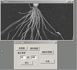 1563171635783564.jpg